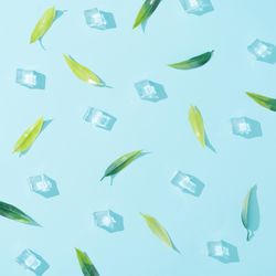 Pattern made of green leaves and ice cubes on pastel blue background