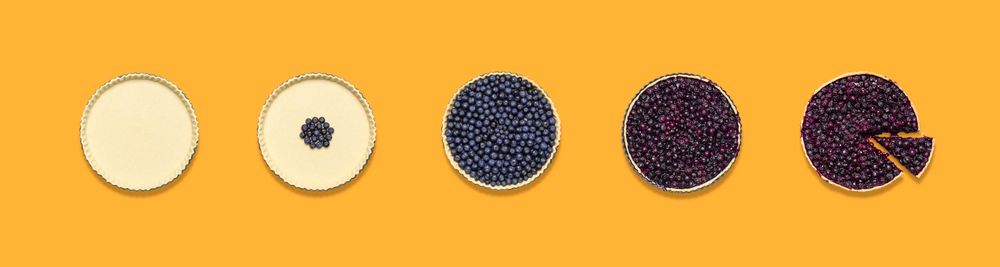 Making a blueberry tart on orange background
