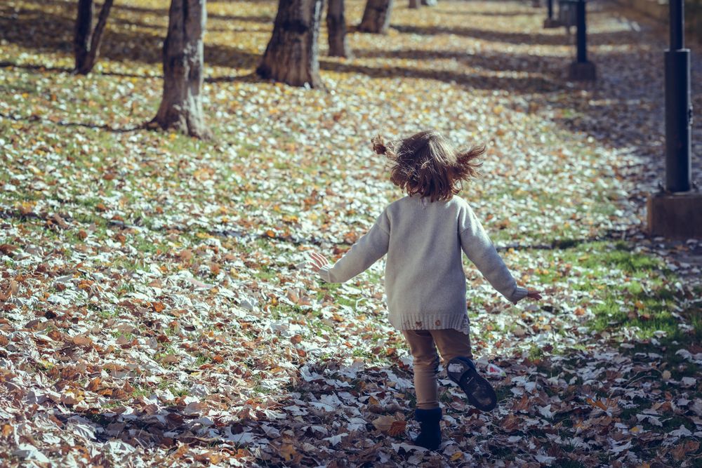 Back of happy child in field of colorful fall leaves