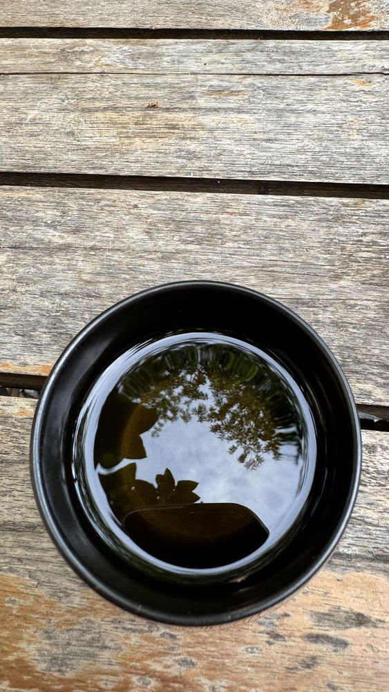 Cup of Tea