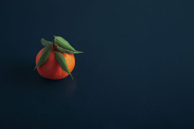 Single tangerine on blue background