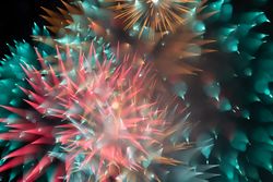 Bright fireworks on night sky