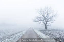Bicycle route on a cold morning day in south Germany 0LY6D5