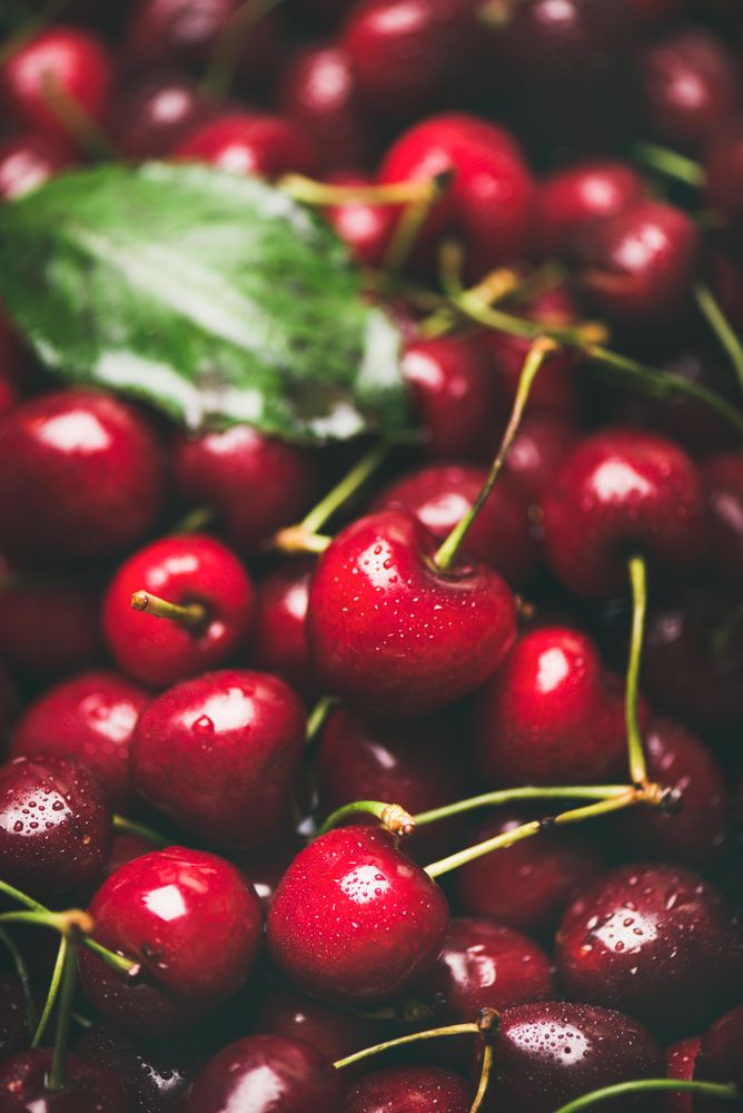 Close up of freshly washed batch of cherries with stems, vertical composition