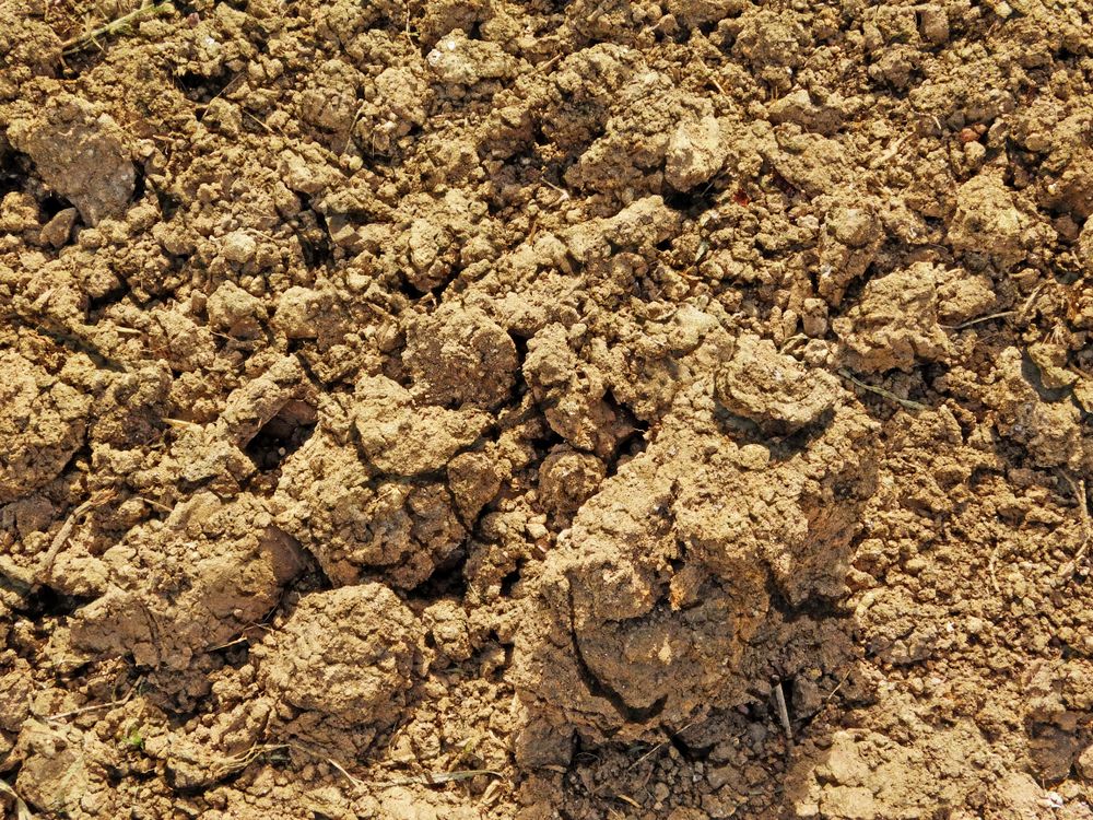 outdoor ground texture