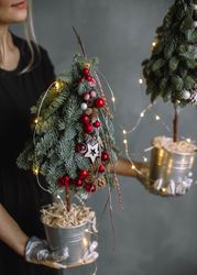 Cropped image of woman in dark shirt holding two mini Christmas trees 0PJv74