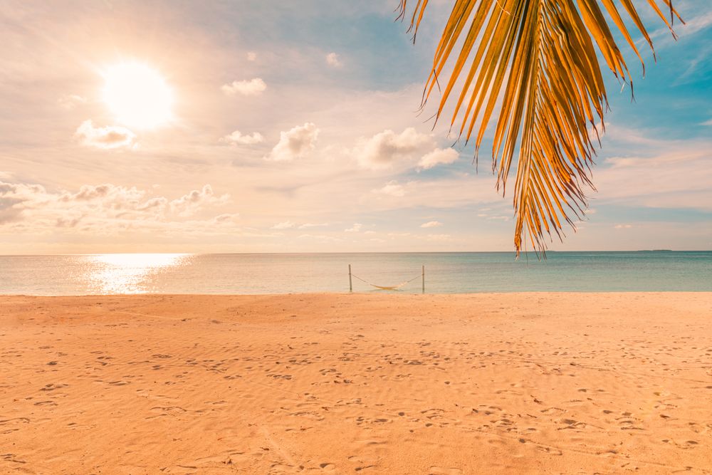 Hammock pitched on a beach