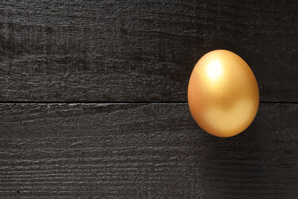 Golden egg, pension savings, investments, retirement, space for text