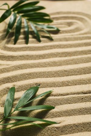 Composition for Zen, Relaxation, Harmony and Balance concept