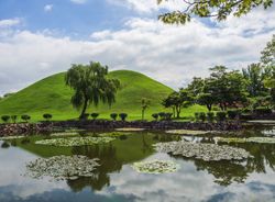 Pond with water lilies near hill