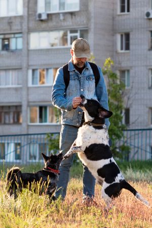 Man giving treat to excited hound in urban park setting.
