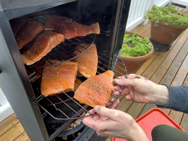 Loading smoker with raw fish for cooking