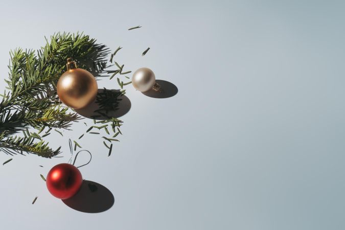 Pine branch of Christmas tree with baubles on grey background