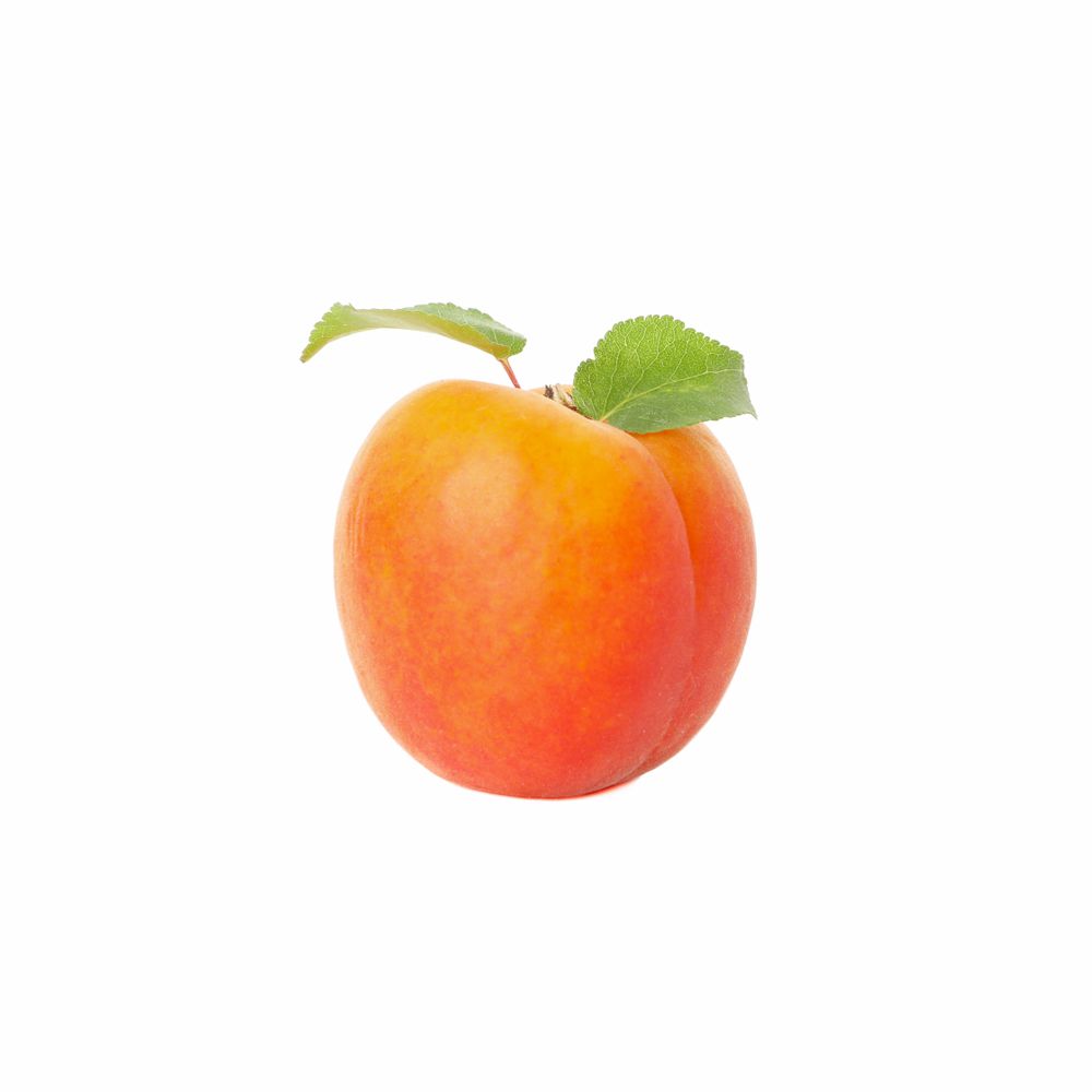 Fresh tasty apricot isolated on blank background