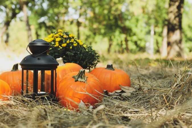 Cozy autumn concept with pumpkins and candle outdoor