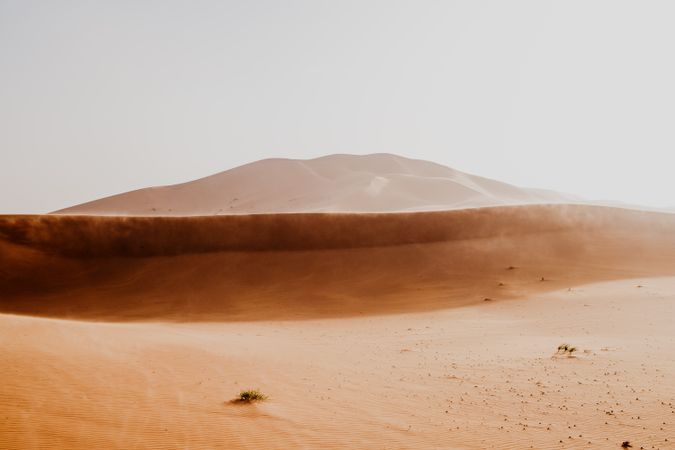 Sandy dune in arid desert