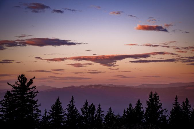 View of mountains with tree silhouettes in the foreground at dusk