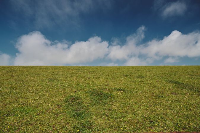 Green field under a blue sky with clouds