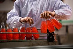 Juice bottles coming off production line