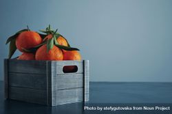 Crate of tangerines on light blue background 5zdpob
