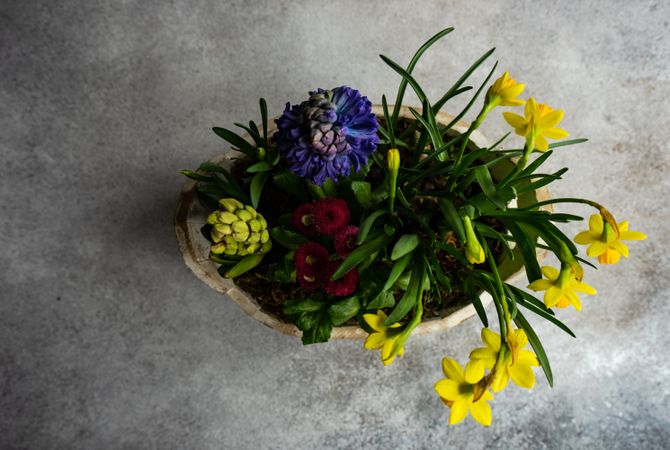 Top view of Spring floral composition in bucket