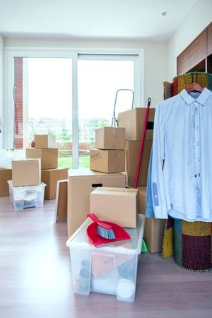 Living room with moving boxes