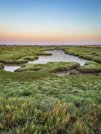The verdant marshes of the Port de Loix, France