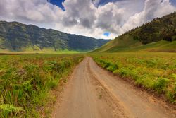 Road to Savanah