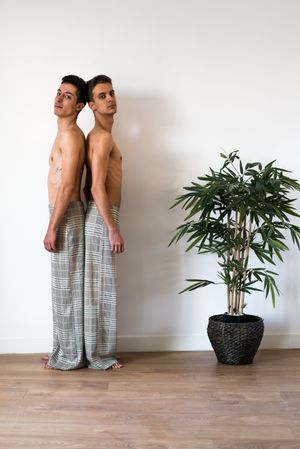 Stylish shirtless gay couple posing
