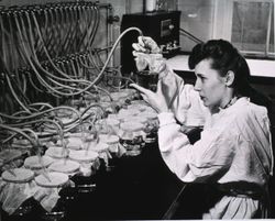 Woman working in science laboratory 0WnZyb