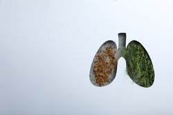 Lung shape cut out of paper revealing lush green plant and tobacco underneath with copy space