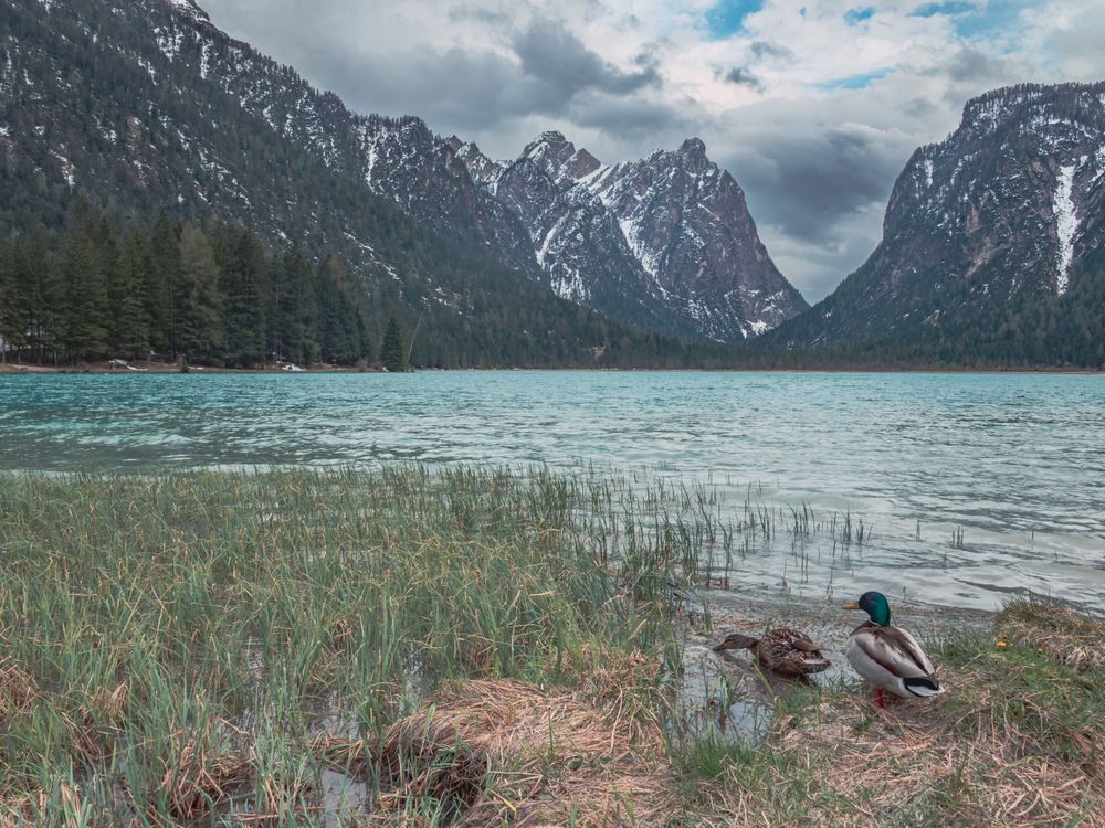 Amazing lake near mountains