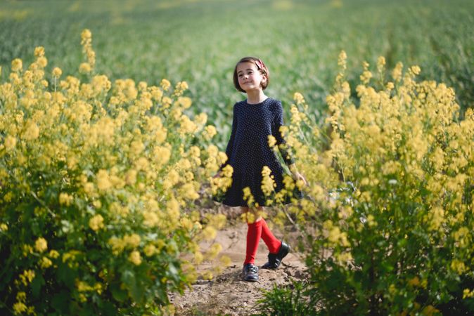 Happy child in dress standing between two yellow bushes of flowers
