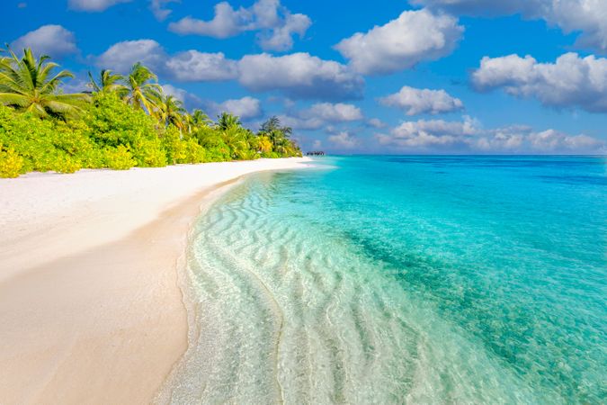 Crystal clear blue waters coming onto a topical beach