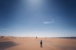 Bearded cowboy in desert