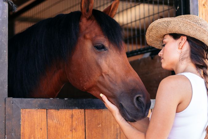 Woman taking care of his brown horse in the stable