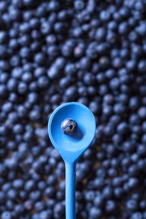 One blueberry fruit in a spoon
