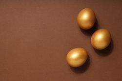 Golden eggs, pension savings, investments, retirement, space for text