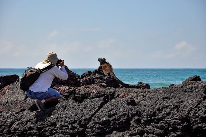 Man taking photo of chameleon on rocky seashore