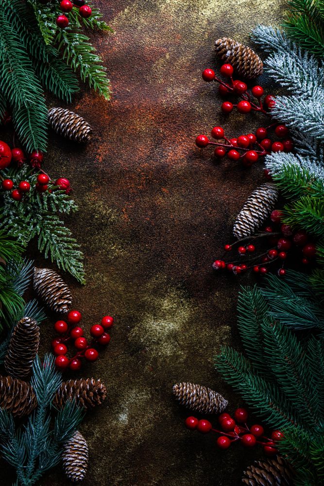 Xmas holiday card concept with branches and holly