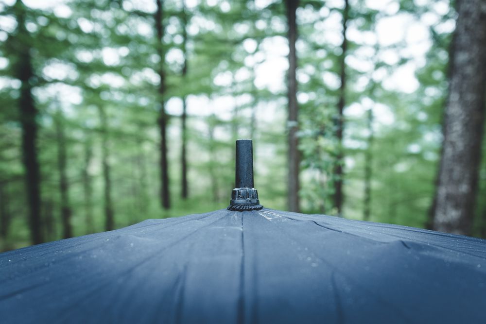 Part of wet umbrella against green trees