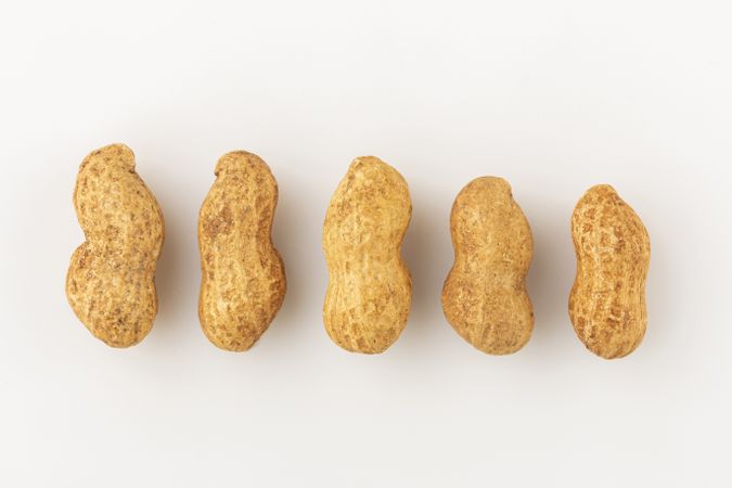 Dry peanut on the white background.