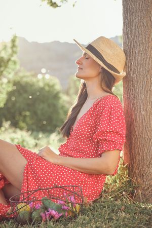 Smiling woman in summer dress sitting on grass