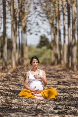 Calm adult pregnant woman practicing yoga while sitting in pose lotus on ground in park during sunny day