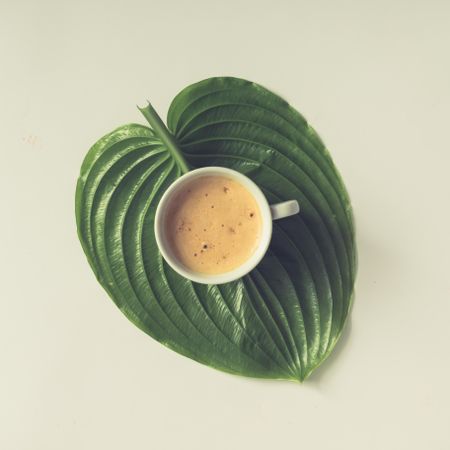 Coffee cup on big green leaf
