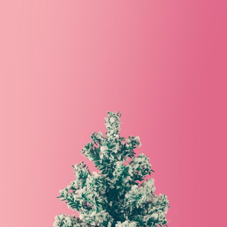 Snowy Christmas tree on gradient pink background