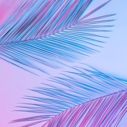 Tropical palm leaves in vibrant gradient holographic colors
