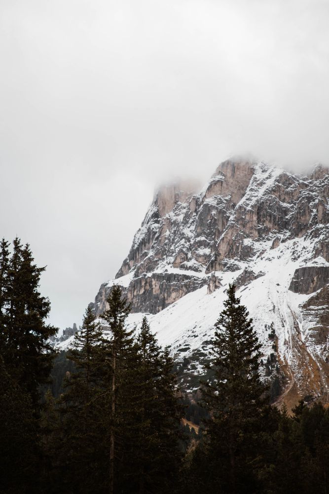 Big mountains near pine forest on cloudy weather