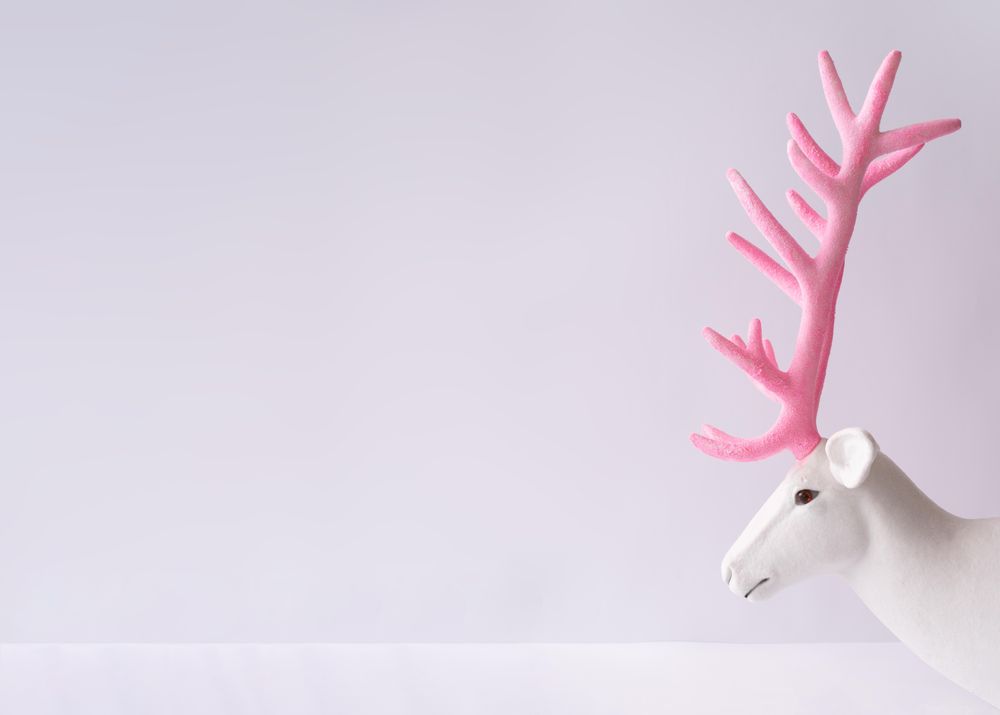 Reindeer with pink antlers