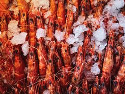 Fresh prawns in ice at market